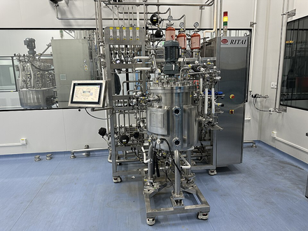 Precision Fermentation: Making Food Proteins with Microorganisms