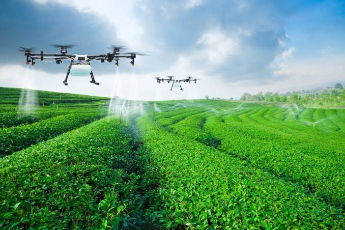 Precision Agriculture and the Uses of Space Data Essay